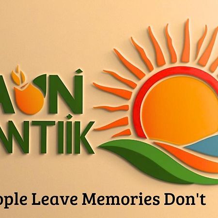 The Daun Puntik Homestay Pemenang エクステリア 写真