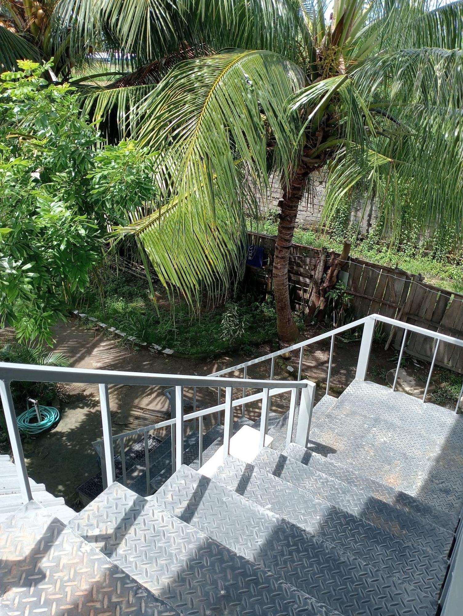 The Daun Puntik Homestay Pemenang エクステリア 写真