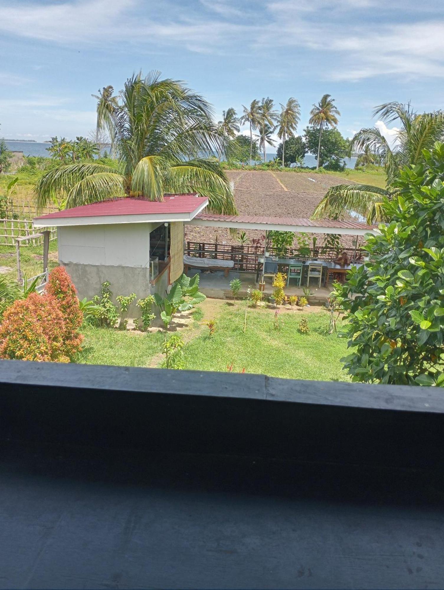 The Daun Puntik Homestay Pemenang エクステリア 写真