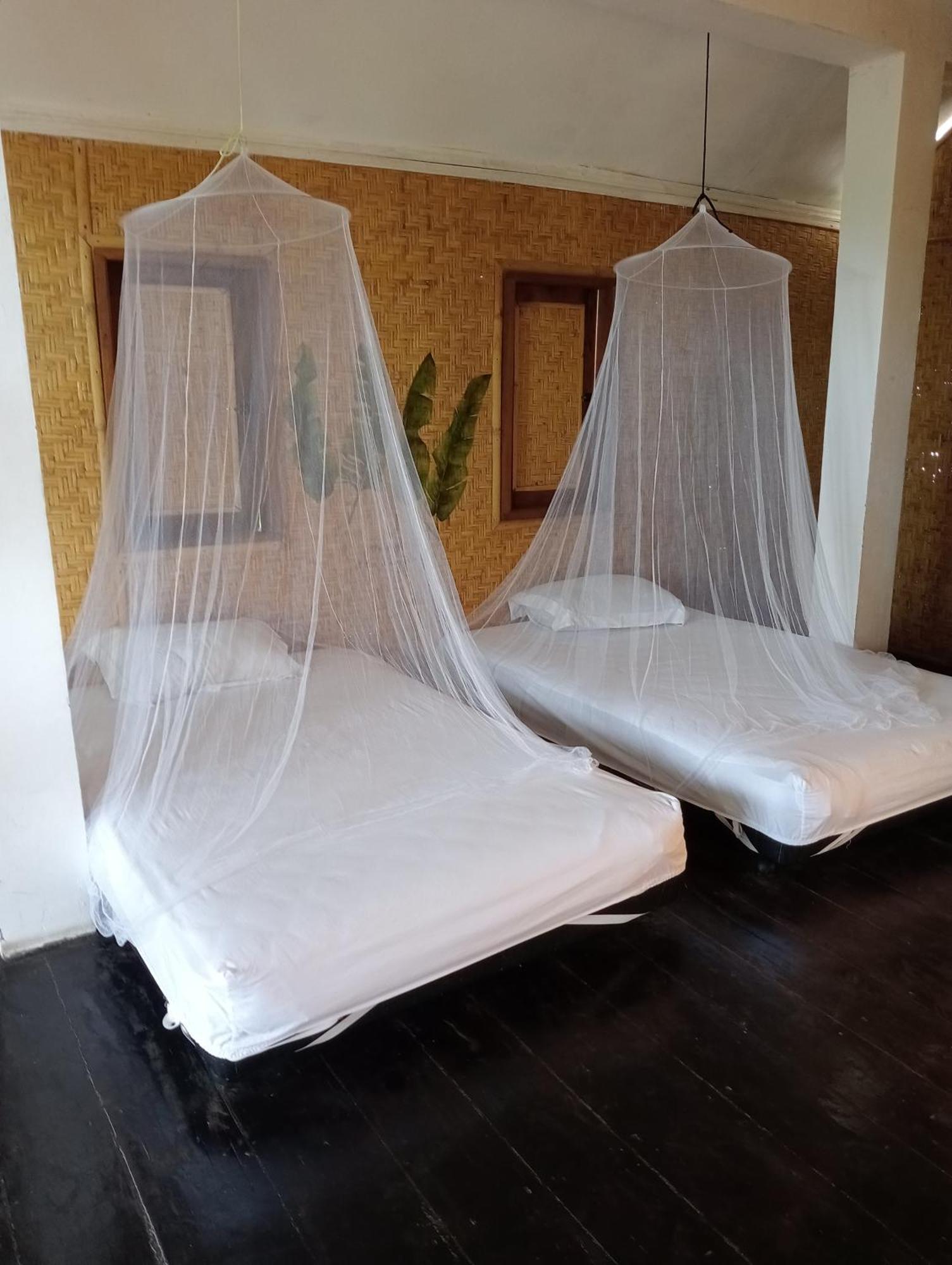 The Daun Puntik Homestay Pemenang エクステリア 写真