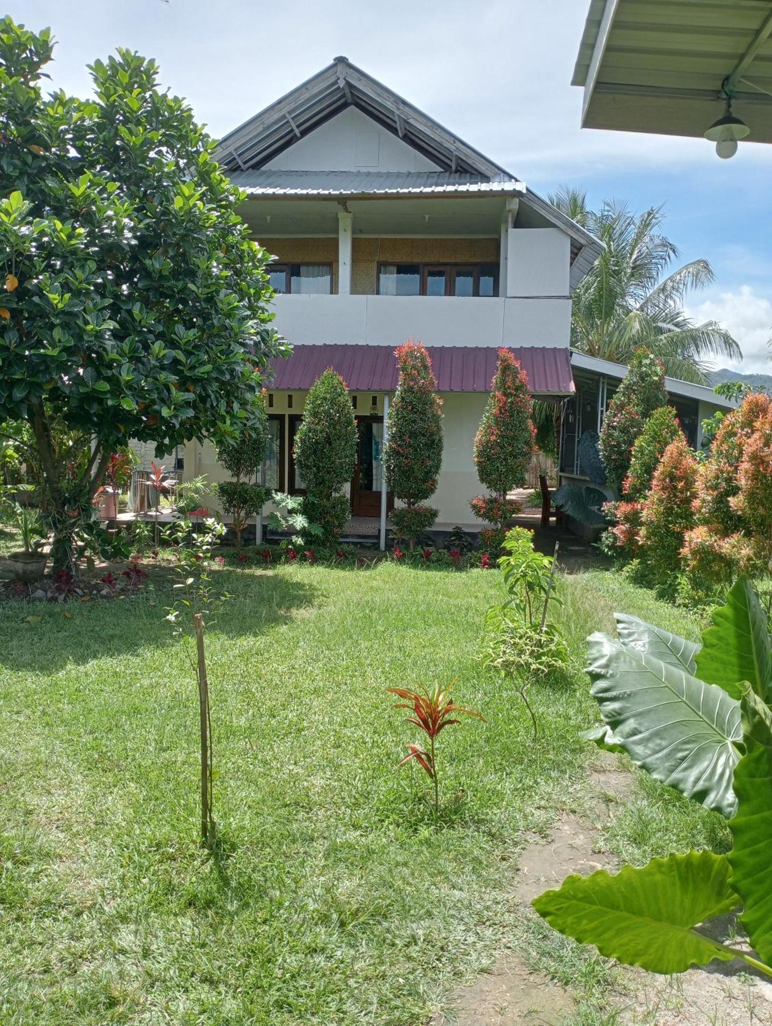 The Daun Puntik Homestay Pemenang エクステリア 写真